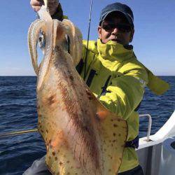 South Current 釣果