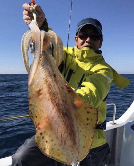 South Current 釣果