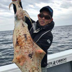 South Current 釣果