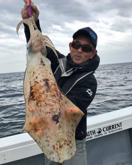 South Current 釣果