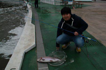 としまえんフィッシングエリア 釣果