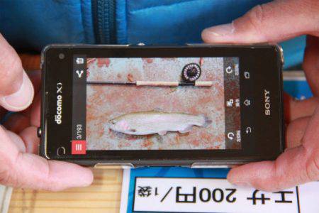 としまえんフィッシングエリア 釣果