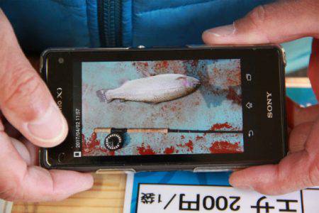 としまえんフィッシングエリア 釣果