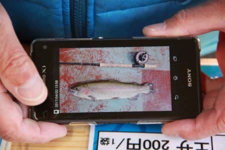 としまえんフィッシングエリア 釣果