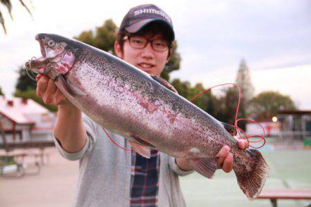 としまえんフィッシングエリア 釣果