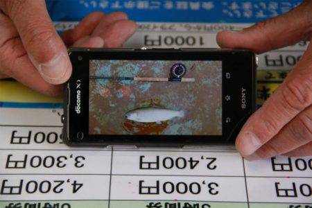 としまえんフィッシングエリア 釣果