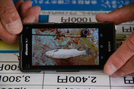 としまえんフィッシングエリア 釣果