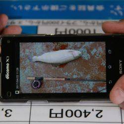 としまえんフィッシングエリア 釣果