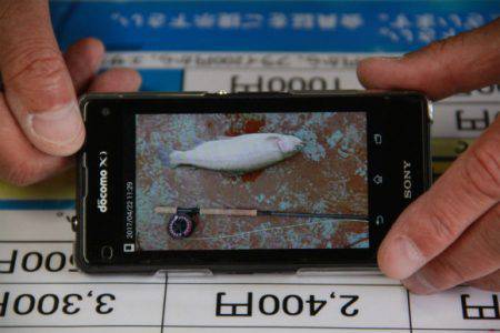 としまえんフィッシングエリア 釣果