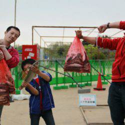 としまえんフィッシングエリア 釣果