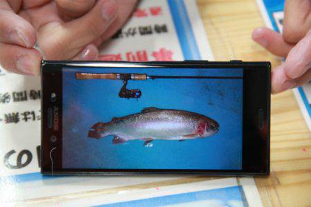 としまえんフィッシングエリア 釣果