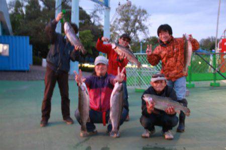 としまえんフィッシングエリア 釣果