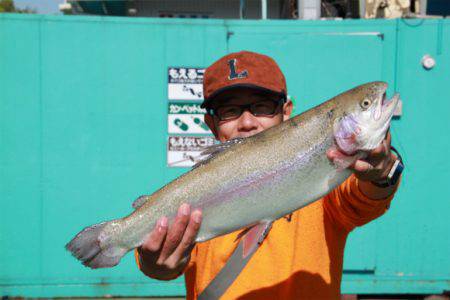 としまえんフィッシングエリア 釣果