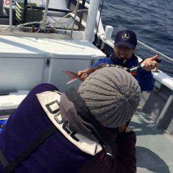 South Current 釣果