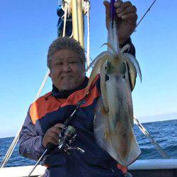 South Current 釣果