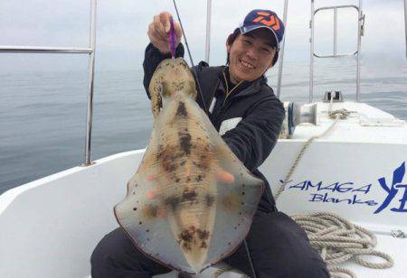 South Current 釣果