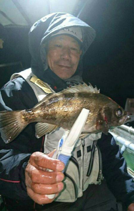 小島丸 釣果