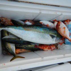 LUSTER『ラスター』 釣果