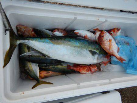 LUSTER『ラスター』 釣果