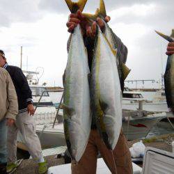 LUSTER『ラスター』 釣果