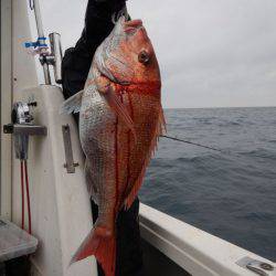 LUSTER『ラスター』 釣果