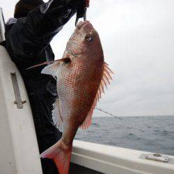 LUSTER『ラスター』 釣果