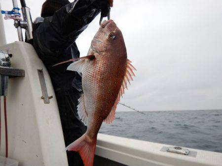 LUSTER『ラスター』 釣果