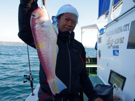 Big One　ビッグワン 釣果