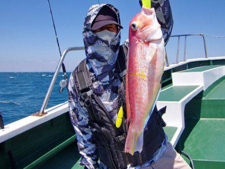 Big One　ビッグワン 釣果