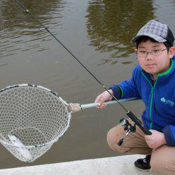 としまえんフィッシングエリア 釣果