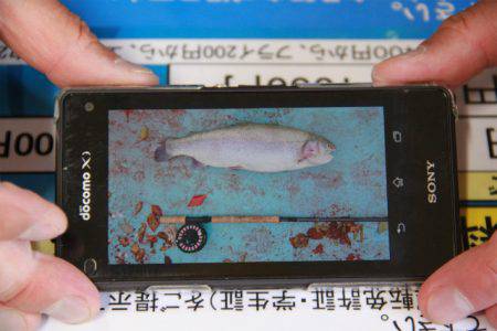 としまえんフィッシングエリア 釣果