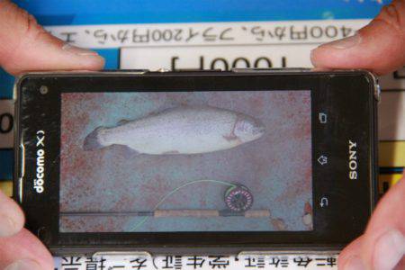 としまえんフィッシングエリア 釣果