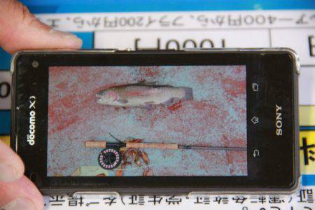 としまえんフィッシングエリア 釣果