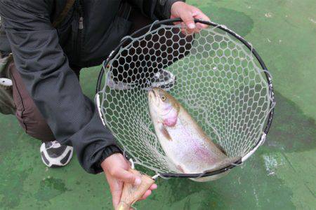 としまえんフィッシングエリア 釣果