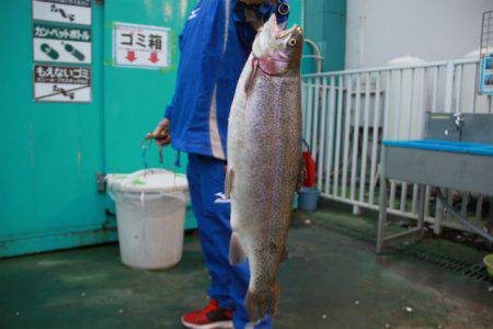 としまえんフィッシングエリア 釣果