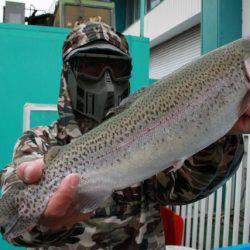 としまえんフィッシングエリア 釣果