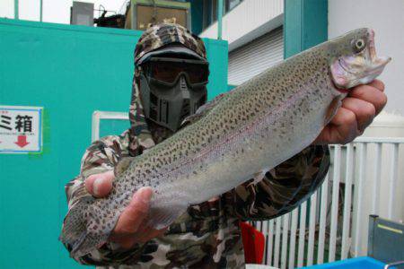 としまえんフィッシングエリア 釣果