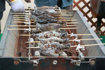 としまえんフィッシングエリア 釣果