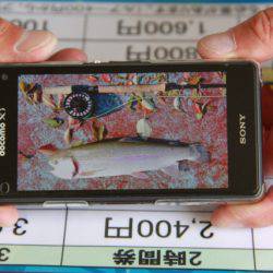 としまえんフィッシングエリア 釣果