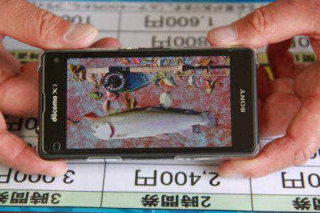 としまえんフィッシングエリア 釣果