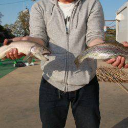 としまえんフィッシングエリア 釣果