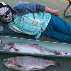 としまえんフィッシングエリア 釣果