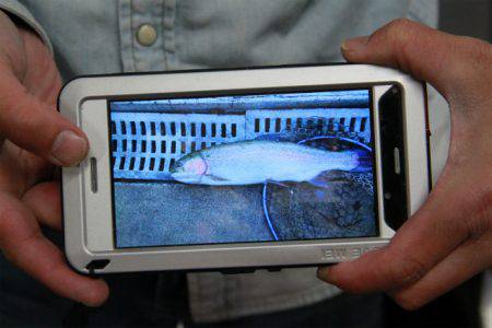 としまえんフィッシングエリア 釣果