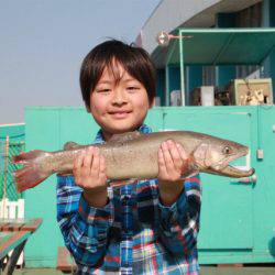 としまえんフィッシングエリア 釣果