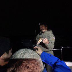 Chase（チェイス） 釣果