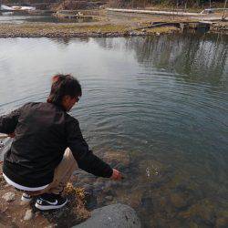 つりぼりあかし 釣果