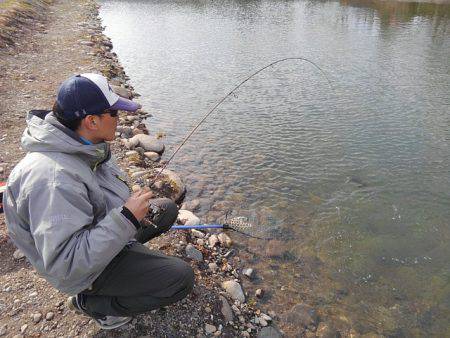 つりぼりあかし 釣果