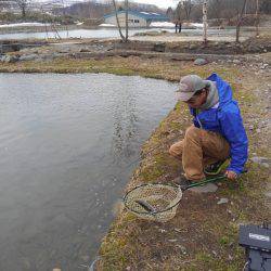 つりぼりあかし 釣果