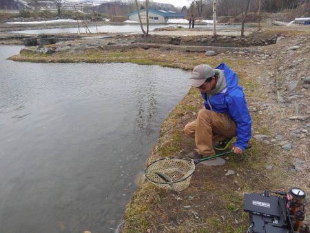 つりぼりあかし 釣果