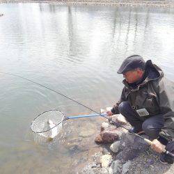 つりぼりあかし 釣果
